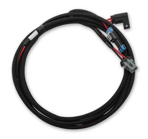 Holley EFI Main Power Harness for Coyote Ti-VCT Applications 558-319 HOLLEY EFI Autoparts