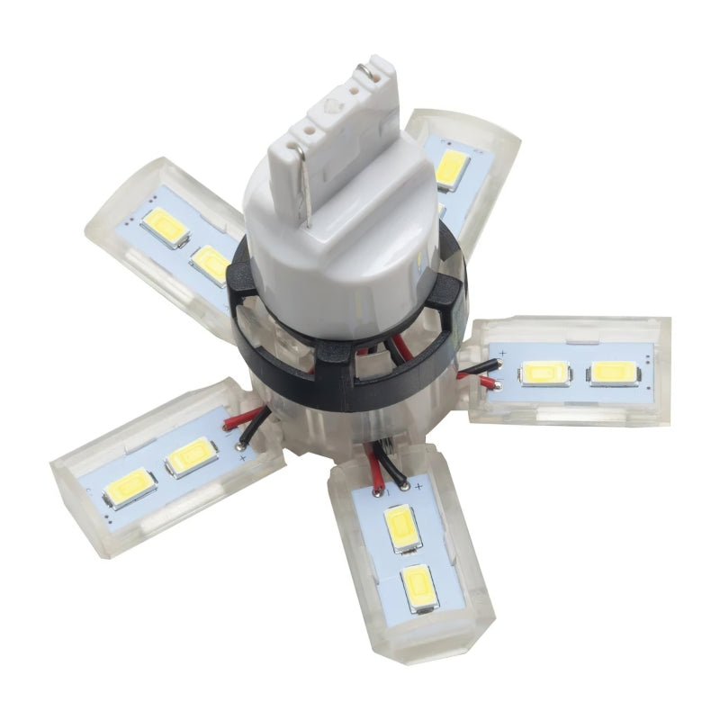 Oracle 7440 24 SMD 3 Chip Spider Bulb (Single) - Cool White ORACLE Lighting Bulbs