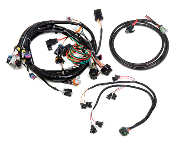 GM LS 24X EFI HARNESS KIT 558-500 HOLLEY Autoparts
