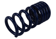 Ford Racing 2015-2017 Mustang GT350 Lowering Springs Ford Racing Lowering Springs