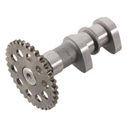 Hot Cams 2004/06-08 400 DVX/00-04 DR-Z 400 Intake Camshaft - Stage 1 Hot Cams Camshafts