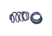 Ford Racing 2005-2014 Mustang GT 1.0in. Track Lowering Springs Ford Racing Lowering Springs