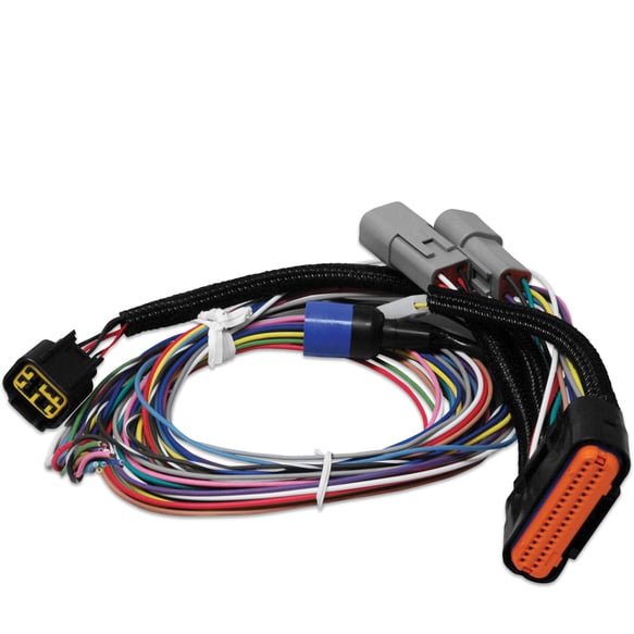 Power Grid Harness - Replacement 7780 MSD Autoparts