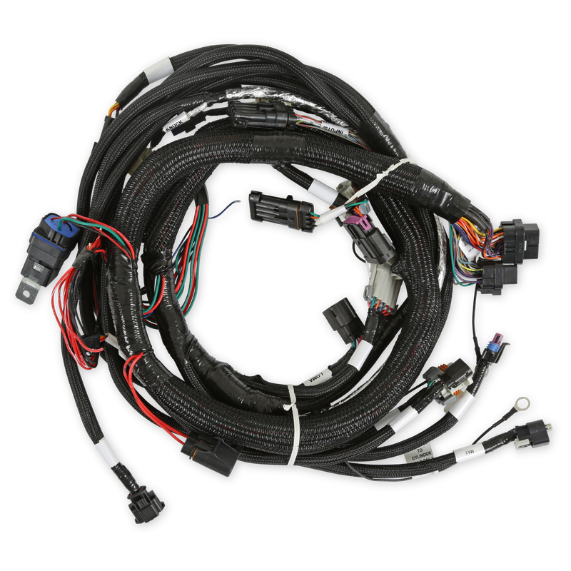 Holley EFI Gen V LT Engine Main Harness Holley EFI Autoparts