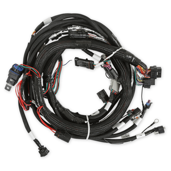 Holley EFI Gen V LT Engine Main Harness 558-129 HOLLEY Autoparts