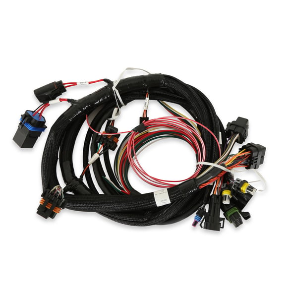 Terminator Main Harness 558-414 HOLLEY Autoparts