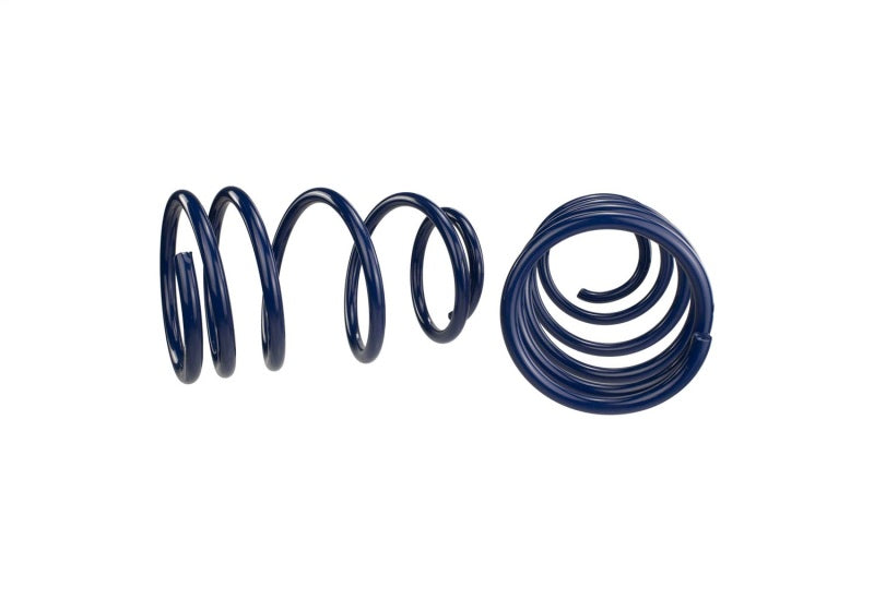 Ford Racing 2007-2014 Mustang Shelby GT500 Springs