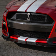 Ford Racing 20-21 Mustang GT500 Carbon Fiber Bumper Insert Ford Racing Bumper Covers - Front