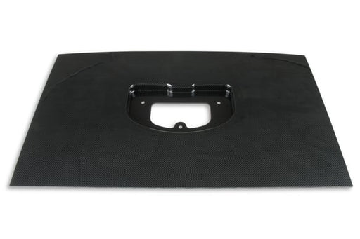 Racepak IQ3 Dash Panel - Carbon Fiber 553-355 HOLLEY Autoparts