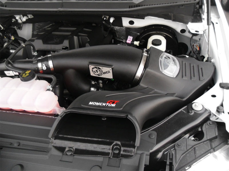 aFe Momentum GT Pro DRY S Intake System 2016 Ford F-150 EcoBoost V6-2.7L/3.5L (tt) aFe Cold Air Intakes