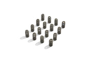Ford Racing BOSS 302R Valve Spring Kit Ford Racing Valve Springs, Retainers