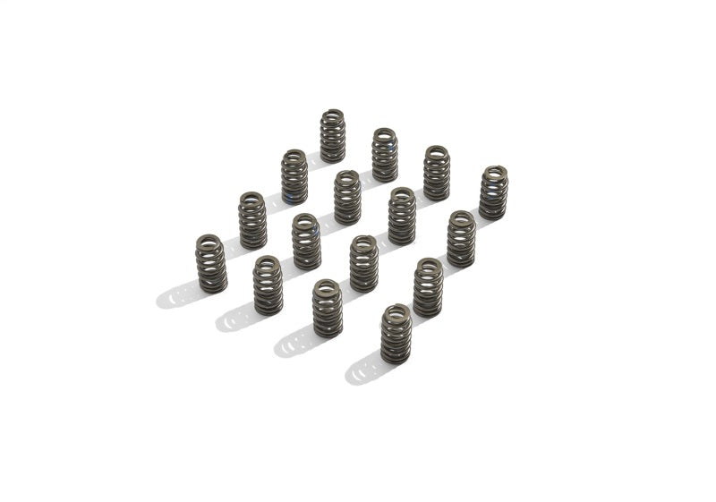 Ford Racing BOSS 302R Valve Spring Kit Ford Racing Valve Springs, Retainers