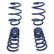 Ford Racing 2015-2017 Mustang GT350 Lowering Springs Ford Racing Lowering Springs