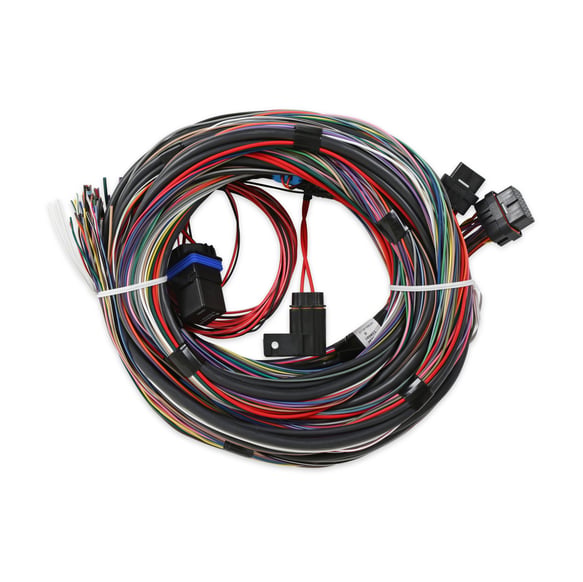 Unterminated Universal Main Harness 558-105 HOLLEY Autoparts