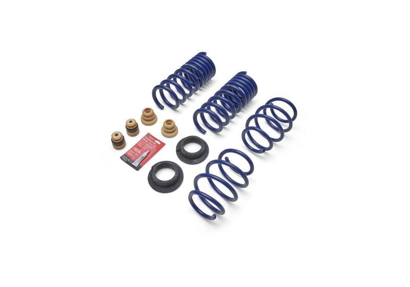 Ford Racing 2024 Mustang 2.3L Track Lowering Spring Kit