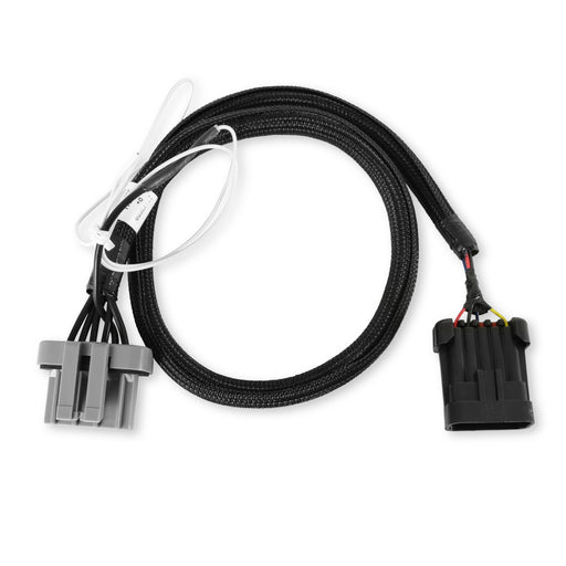 Ford TFI Ignition Harness Holley EFI Autoparts
