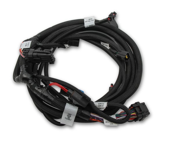 Holley EFI Ford Coyote Ti-VCT Sub Harness (2011-2012) 558-124 HOLLEY Autoparts