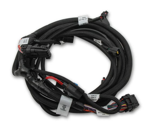 Holley EFI Ford Coyote Ti-VCT Sub Harness (2011-2012) 558-124 HOLLEY Autoparts