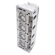 Edelbrock Cylinder Head Holden Vn Performer RPM Hydraulic Flat Tappet Springs Single Complete Edelbrock Heads