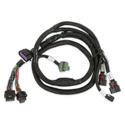 Holley EFI GM GEN V GDI Subharness Holley EFI Autoparts
