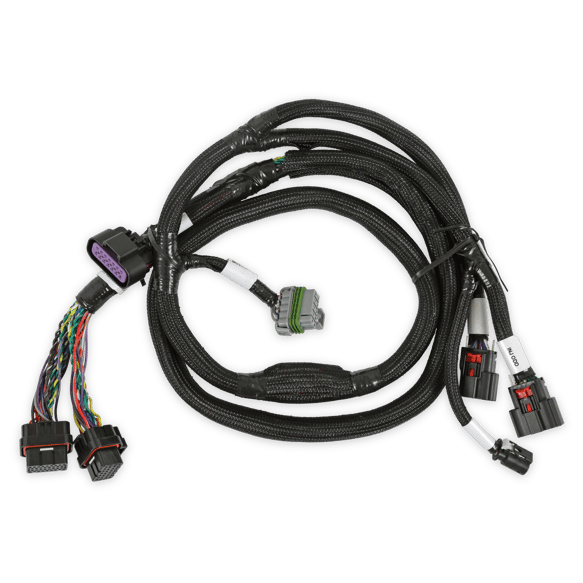 Holley EFI GM GEN V GDI Sub Harness 558-221 HOLLEY Autoparts