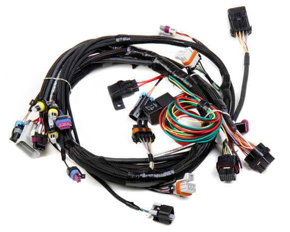 LS1/6 (24x/1x) Engine Main Harness 558-102 HOLLEY EFI Autoparts