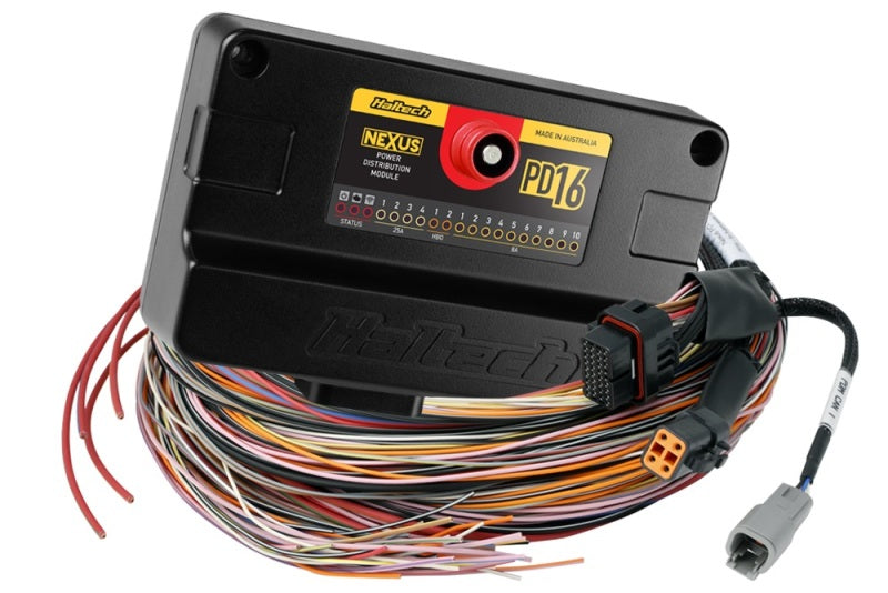 Haltech NEXUS PD16 + Flying Lead Harness - 5m (16ft) Haltech Wiring Harnesses
