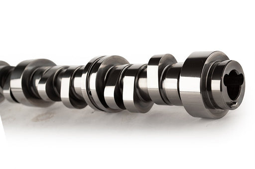FSL AFM 208/220 D, 206/218 N Hydraulic Roller Cam for GM LS GEN IV COMPCAMS Autoparts