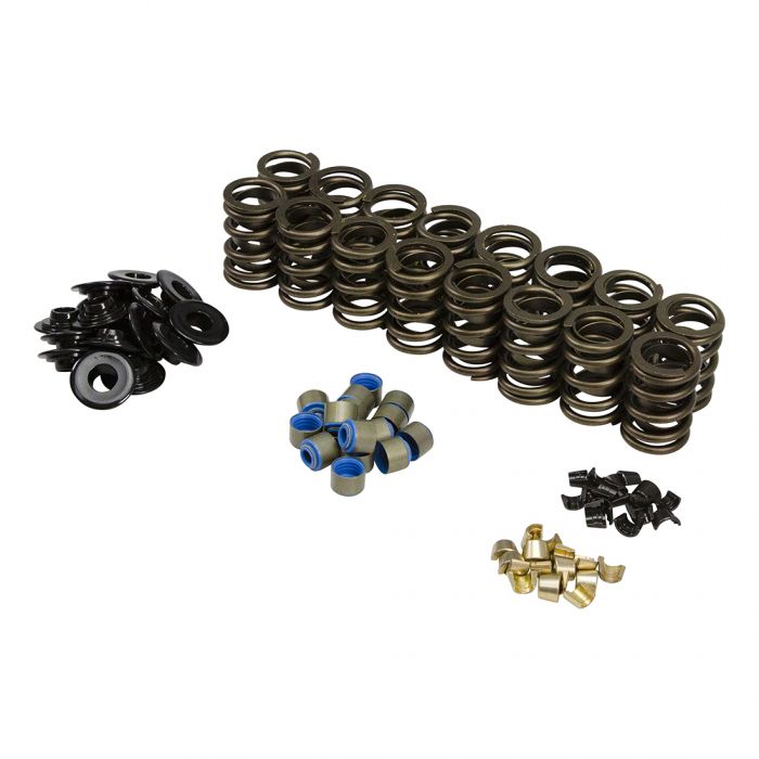 Valve Spring Kit for Ford GT40 / GT40P Cylinder Head