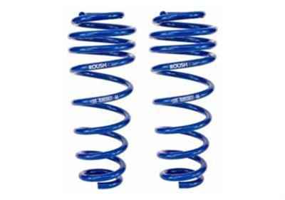 Roush Mustang Rear Coil Springs for 2005-2014 MUSTANG - 401295