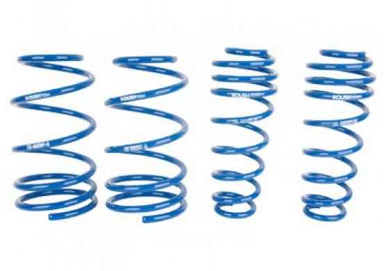 Roush Mustang Lowering Springs for 2005-2014 MUSTANG - 404472 Roush Performance Autoparts