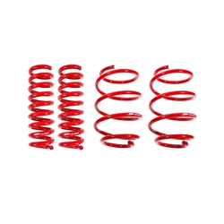 BMR 16+ 6th Gen Camaro SP041 - Lowering Springs, Set Of 4, Performance Version